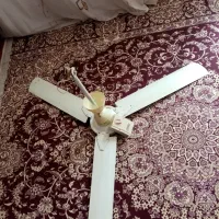 فروش پنکه