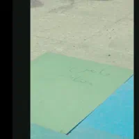 نر سینه سیاه معاوضه|پرنده|کرمان, |دیوار