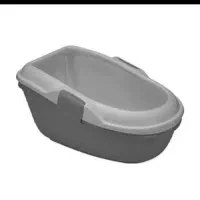 گربه نر شناسنامه دار نژاد اسکاتیش|گربه|اردبیل, |دیوار