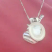 حلقه و یک جفت گشواره گم کردم