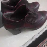 کفش نونو یک بار پوشیده شده مجلسی 500000مهاجران|کیف، کفش، کمربند|مهاجران, |دیوار