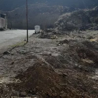 سگ‌ گمشده‌‌