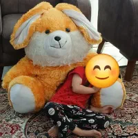 عروسک خرگوش