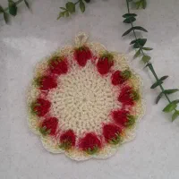 اسکاج زیبا|لوازم نظافت|بیرجند, |دیوار