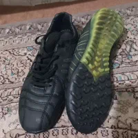 استوک|کیف، کفش، کمربند|پرند, فاز ۶|دیوار