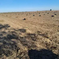 فروش پرس بادام زمینی