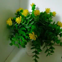 گل تزیینی
