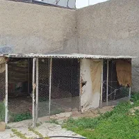 فروش قفس آهنی