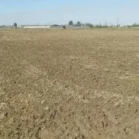 زمین کشاورزی