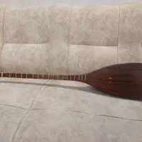 تنبور|سازهای سنتی|تهران, استاد معین|دیوار