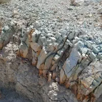 جذب نیروی کار