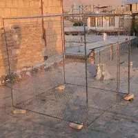 لانه بزرگ پرنده و کبوتر|لوازم جانبی حیوانات|نهاوند, |دیوار