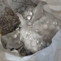 دکمه منگنه ای در سایزهای مختلف.