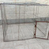 قفس مرغ،کبوتر