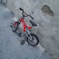 دوچرخه ۱۶ سالم