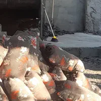 کارگاه پشتی سازی