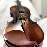 ویولن آماتی|ویولن|شیراز, سینما سعدی|دیوار