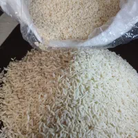 برنج هاشمی ارگانیک سورتینه شده