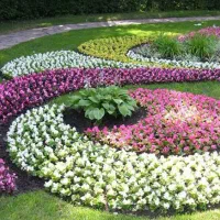 باغبانی .هرس. کودهی. تعویض خاک .