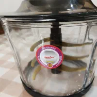 غذاساز برقی