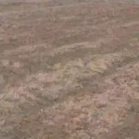 زمین-کشاورزی-در-ماهان