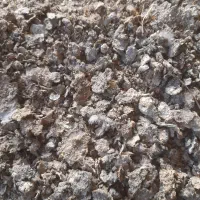 کود زله مرغ گوشتی|خدمات باغبانی و درختکاری|فریدونشهر, |دیوار