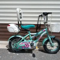 دوچرخه ۱۲ فیروزه ای المپیا در حد