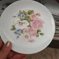 ارکوپال|ظروف سرو و پذیرایی|شریف‌آباد, |دیوار