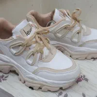 کتانی اسپرت