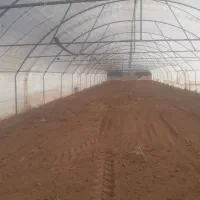 فروش گل خانه
