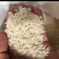 برنج هاشمی درج یک . مستقیم از خود کشاورز