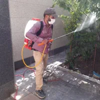 سمپاشی وباغبانی در تمام نقاط تهران وحومه
