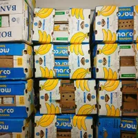 فروش کارتن موز کاملا سالم|ابزارآلات|لاهیجان, کوی زمانی|دیوار