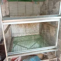 قفس طبقاتی پر آور