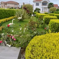 خدمات باغبانی کالج|خدمات باغبانی و درختکاری|رویان, |دیوار