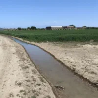 زمین500متری چسبیده به بافت ،باغ باغچه سرمایه‌گذاری|فروش زمین و ملک کلنگی|تهران, مطهری|دیوار