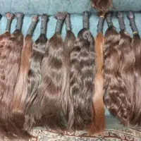 کوتاهی موی بانوان