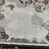 پوست بز نو|صنایع دستی و سایر لوازم تزئینی|کرمانشاه, |دیوار