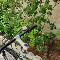 دوچرخه ۲۶ کاملا سالم|دوچرخه، اسکیت، اسکوتر|رباط‌کریم, رباط‌کریم|دیوار