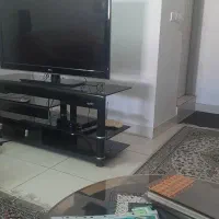 هم خونه خانم بدون اجاره