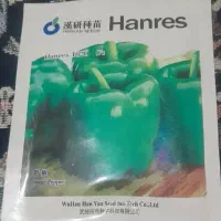 بزر‌فلفل دلمه هانرس