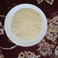 فروش برنج درجه یک هاشمی
