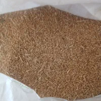 ۳۵۰کیلو گندم کوهدشت