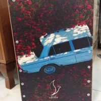 کاخن حرفه ای