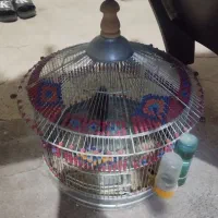 سه تا سهره|پرنده|مشگین شهر, |دیوار