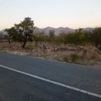 باغ در روستای ساری تپه