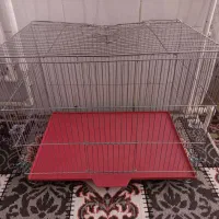قفس