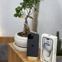 15normal