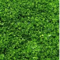 پخش سبزی خرد..شده