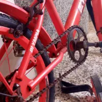 دوچرخه ۱۶ در حدنو المپیا|دوچرخه، اسکیت، اسکوتر|گنبد کاووس, |دیوار